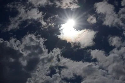 DSC_2990 (Large).JPG